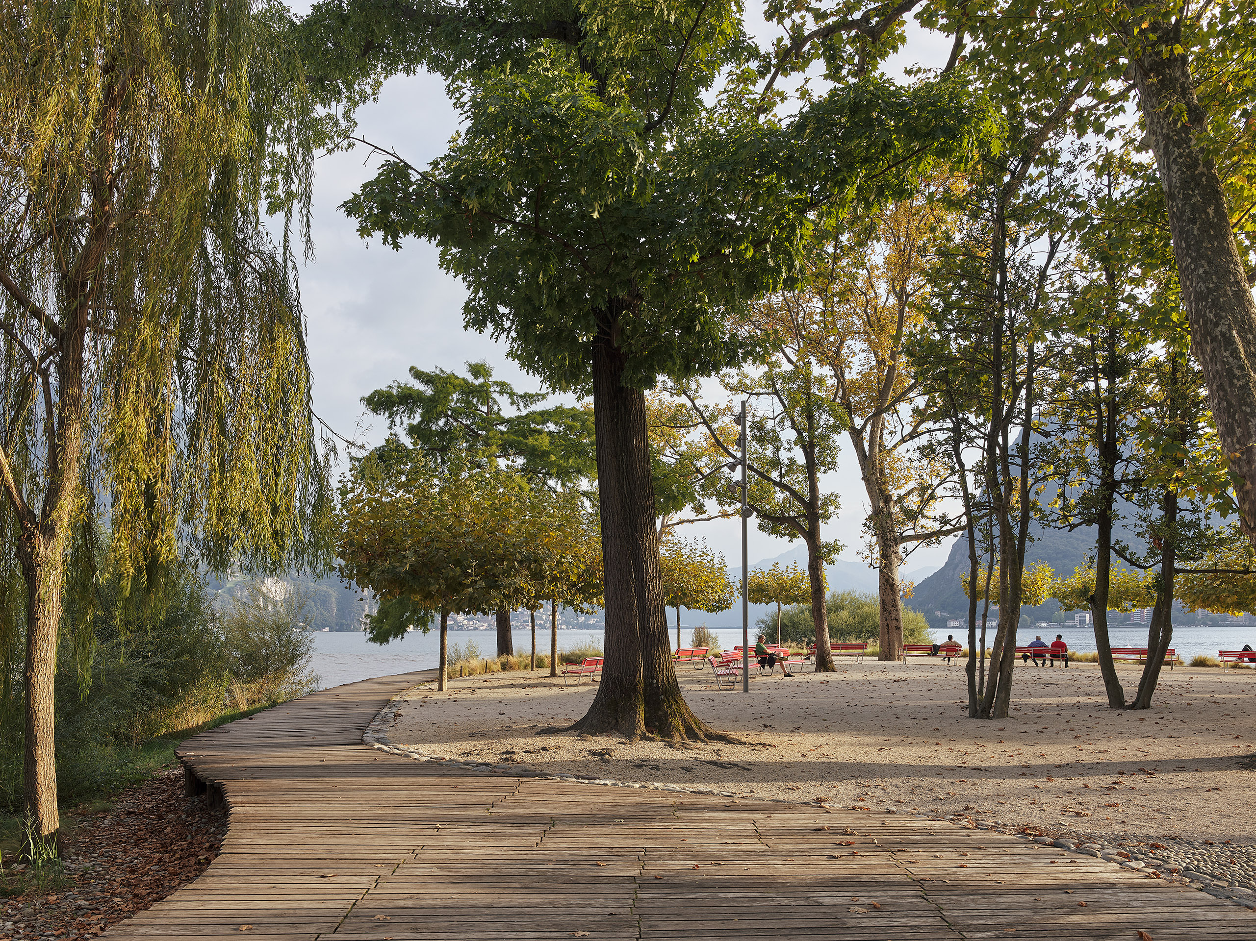 Ahp0053 CASS AIQ4 002492 C